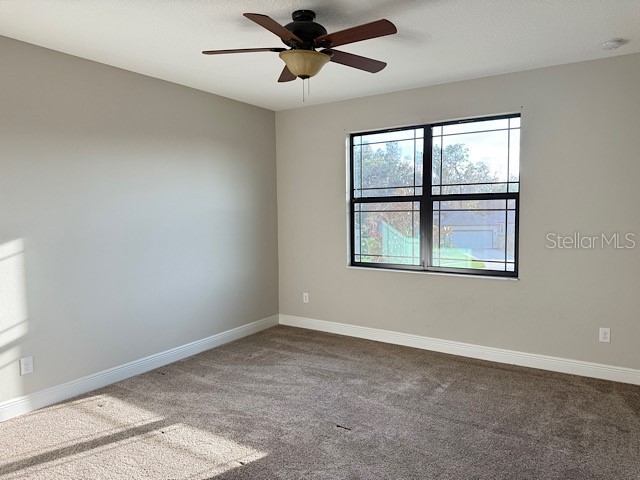 8206 Summer Brook Court Land O Lakes FL 34638 TB8466535 image15