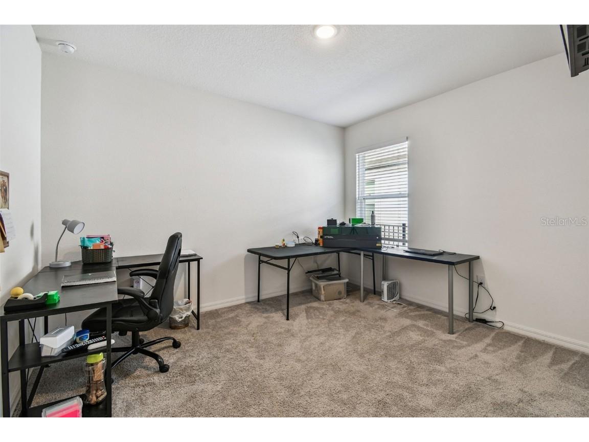 8207 Abalone Loop Parrish FL 34219 TB8432689 image22