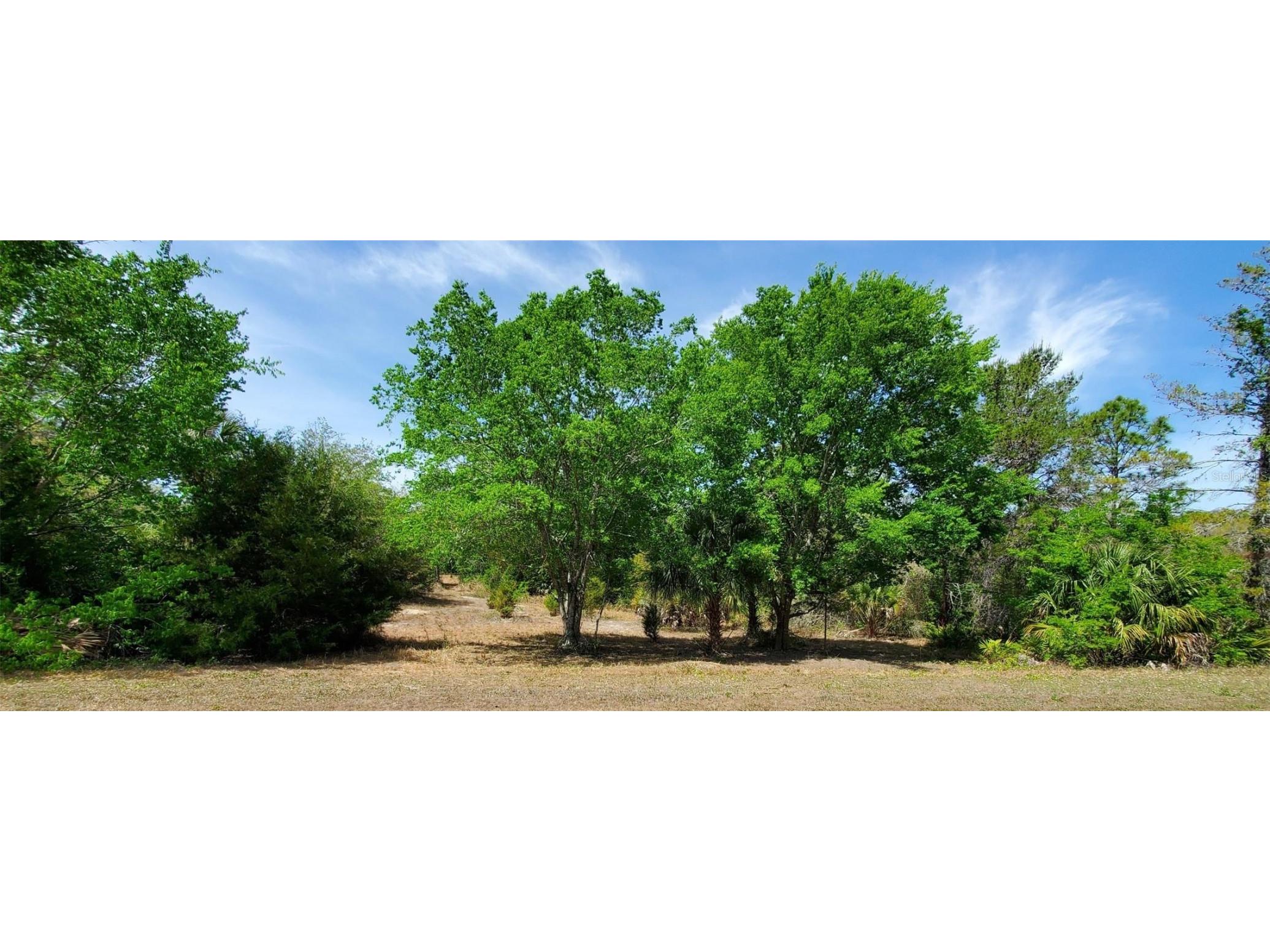 8207 Christopher Lane Weeki Wachee FL 34613 T3536952 image1