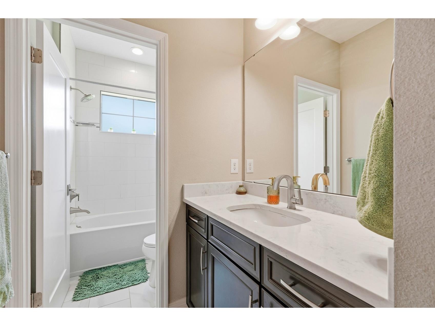 8207 Rushton Place Parrish FL 34219 A4689503 image49