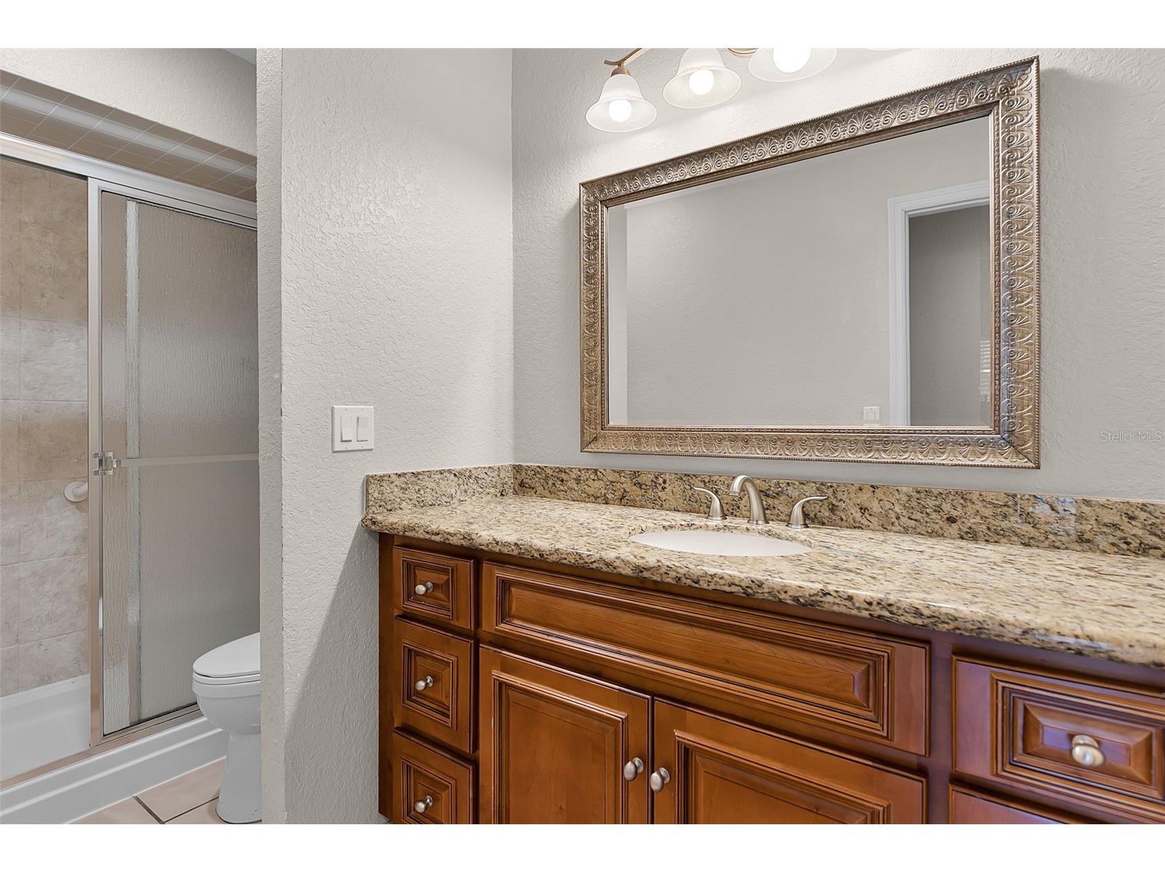 8208 La Serena Drive Tampa FL 33614 TB8465477 image13