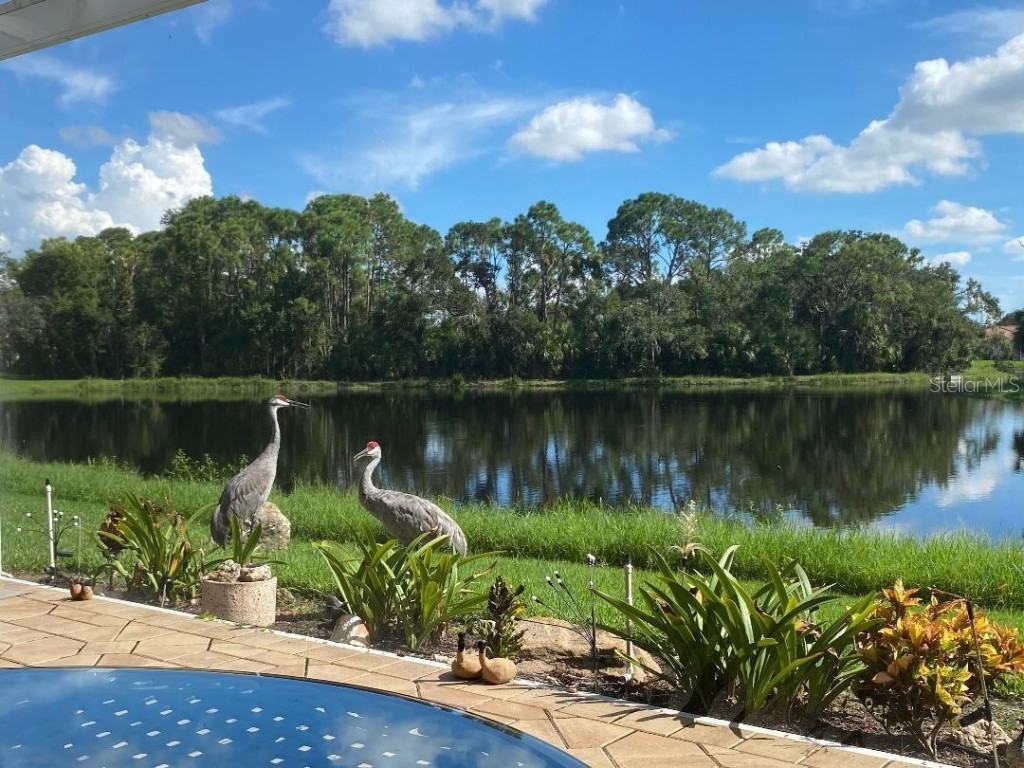 8208 Nice Way Sarasota FL 34238 G5104044 image46