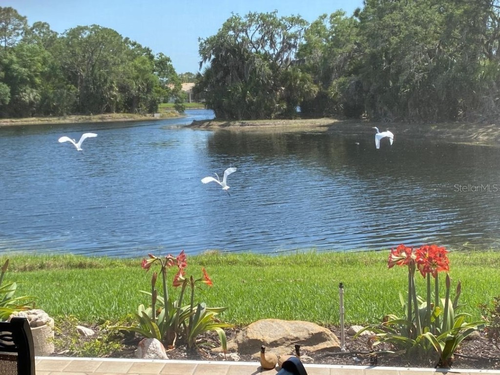 8208 Nice Way Sarasota FL 34238 G5104044 image47