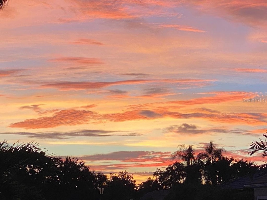 8208 Nice Way Sarasota FL 34238 G5104044 image48