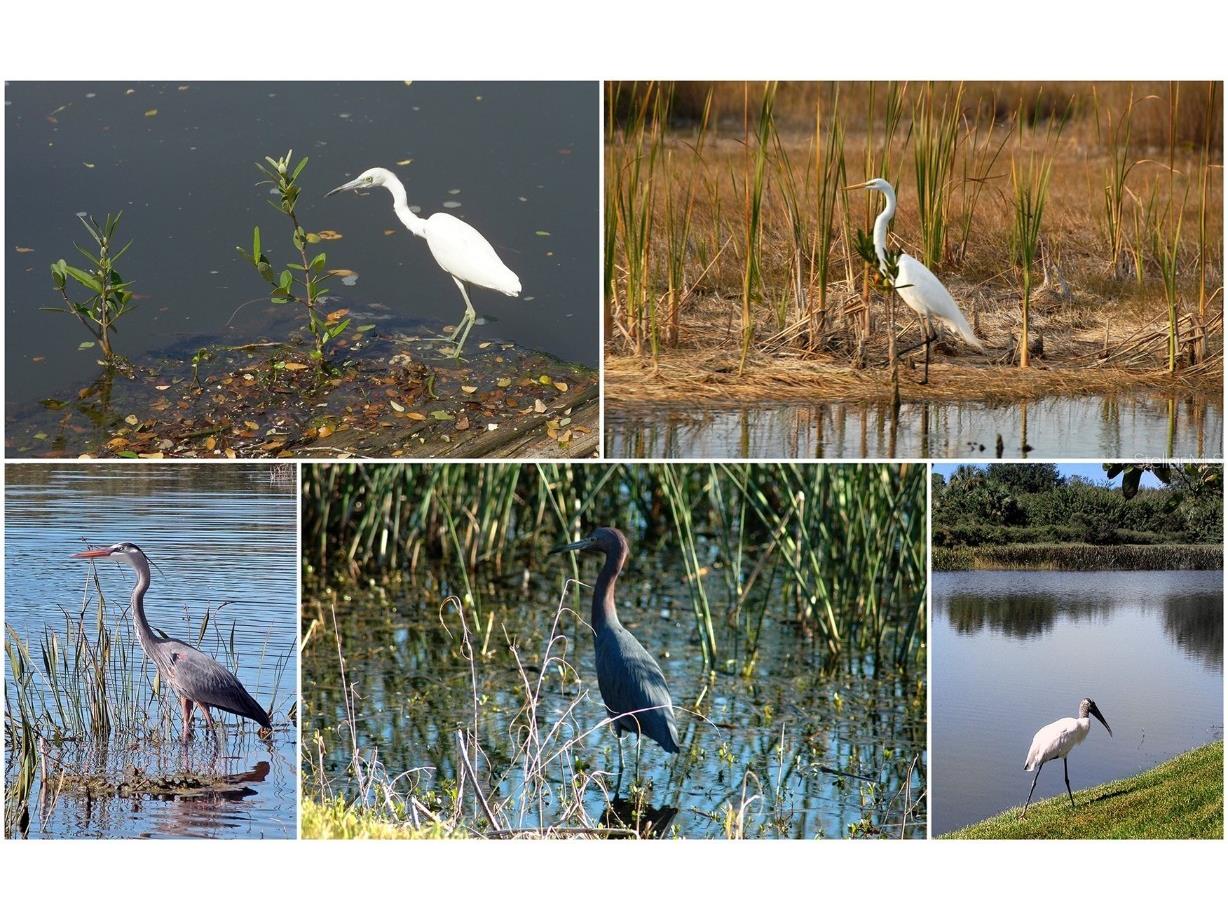 8208 Nice Way Sarasota FL 34238 G5104044 image51