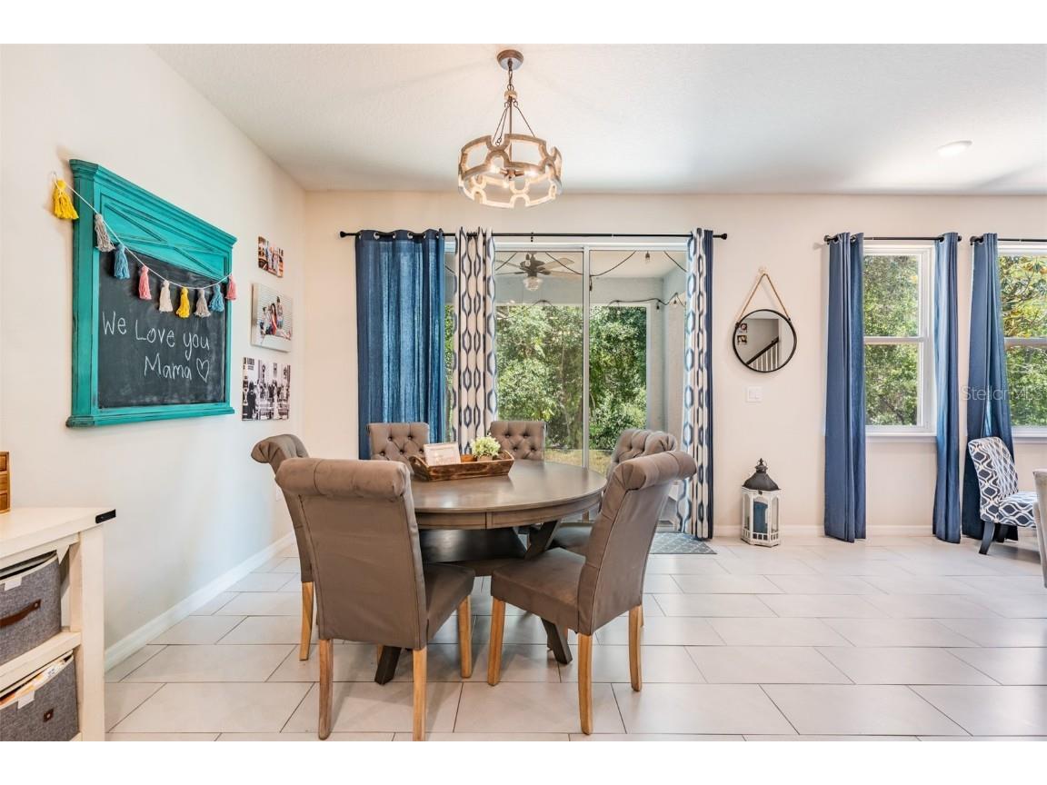 8208 Praise Drive Tampa FL 33625 TB8390009 image13