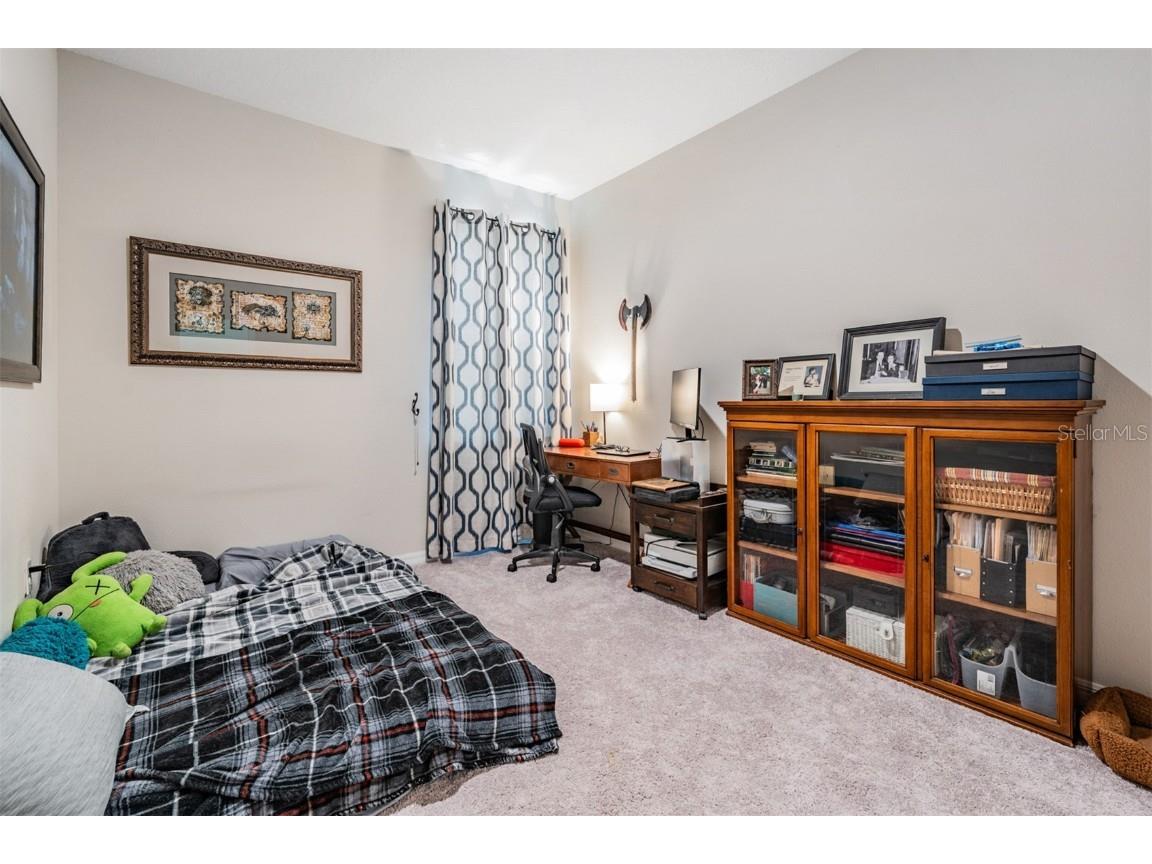 8208 Praise Drive Tampa FL 33625 TB8390009 image16