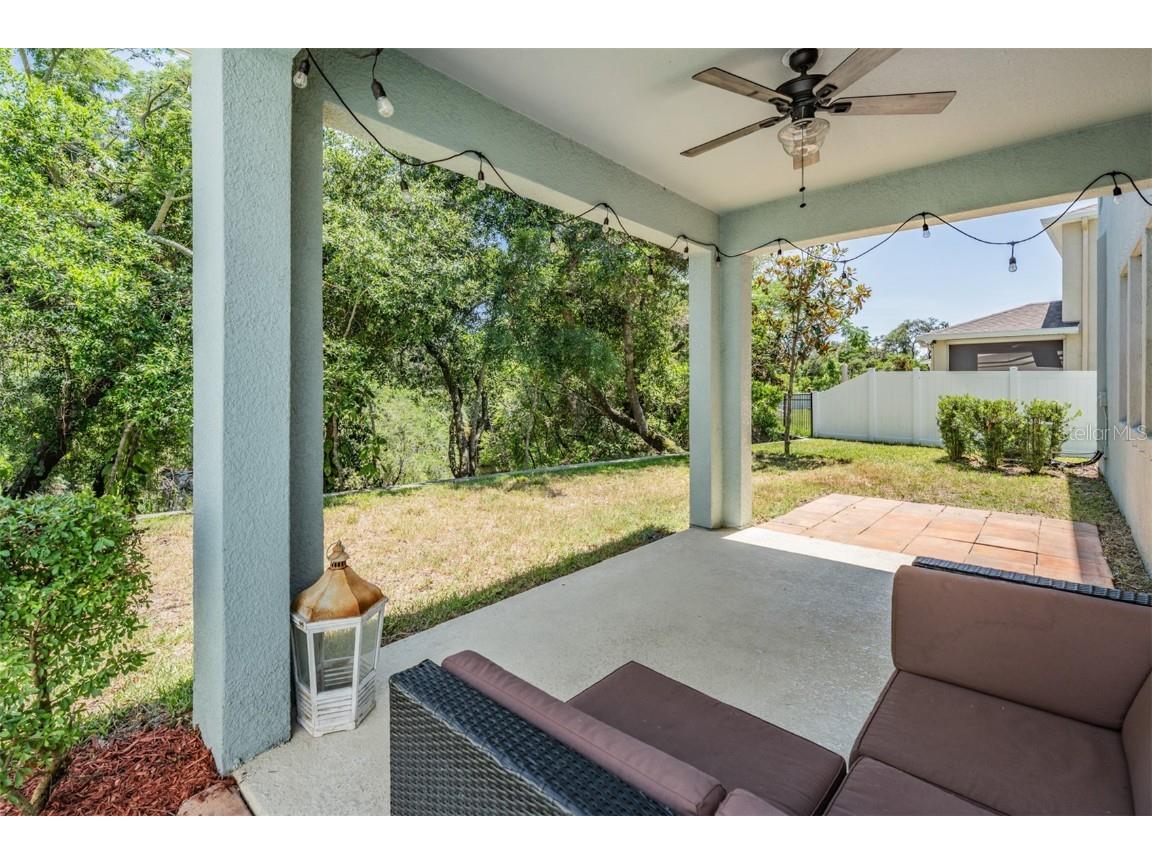 8208 Praise Drive Tampa FL 33625 TB8390009 image26