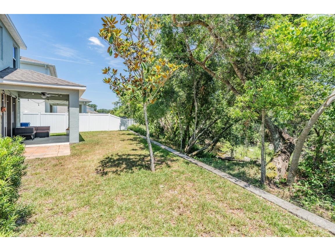 8208 Praise Drive Tampa FL 33625 TB8390009 image27