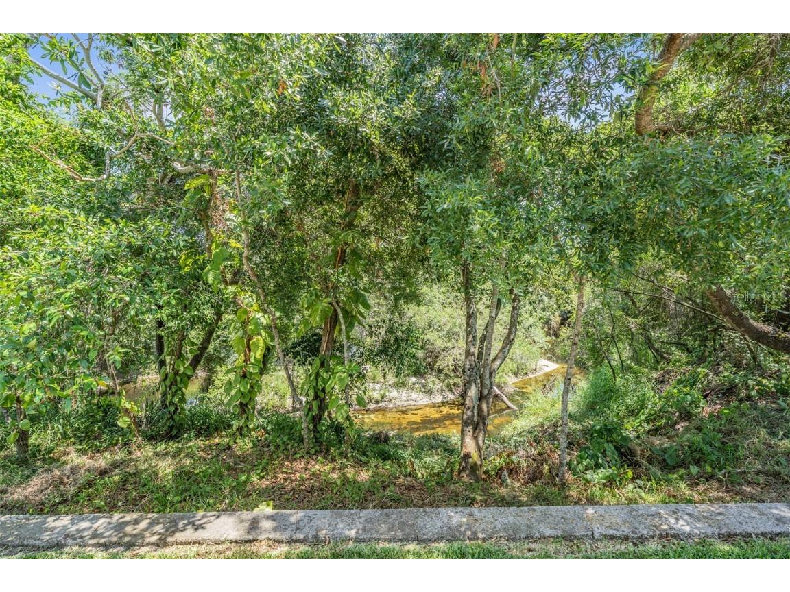 8208 Praise Drive Tampa FL 33625 TB8390009 image28