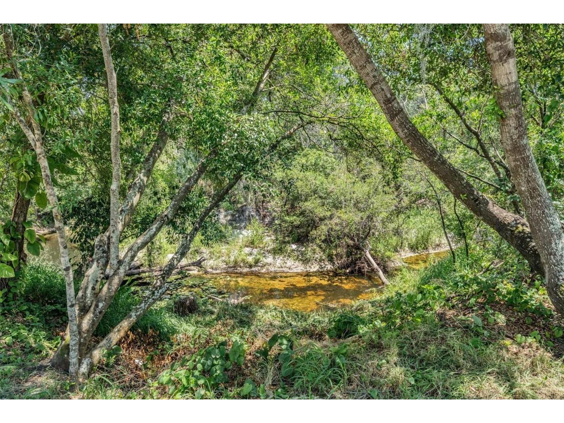 8208 Praise Drive Tampa FL 33625 TB8390009 image29