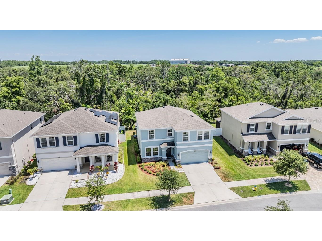 8208 Praise Drive Tampa FL 33625 TB8390009 image3