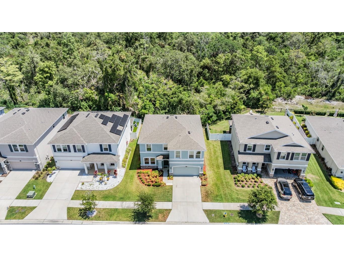 8208 Praise Drive Tampa FL 33625 TB8390009 image4