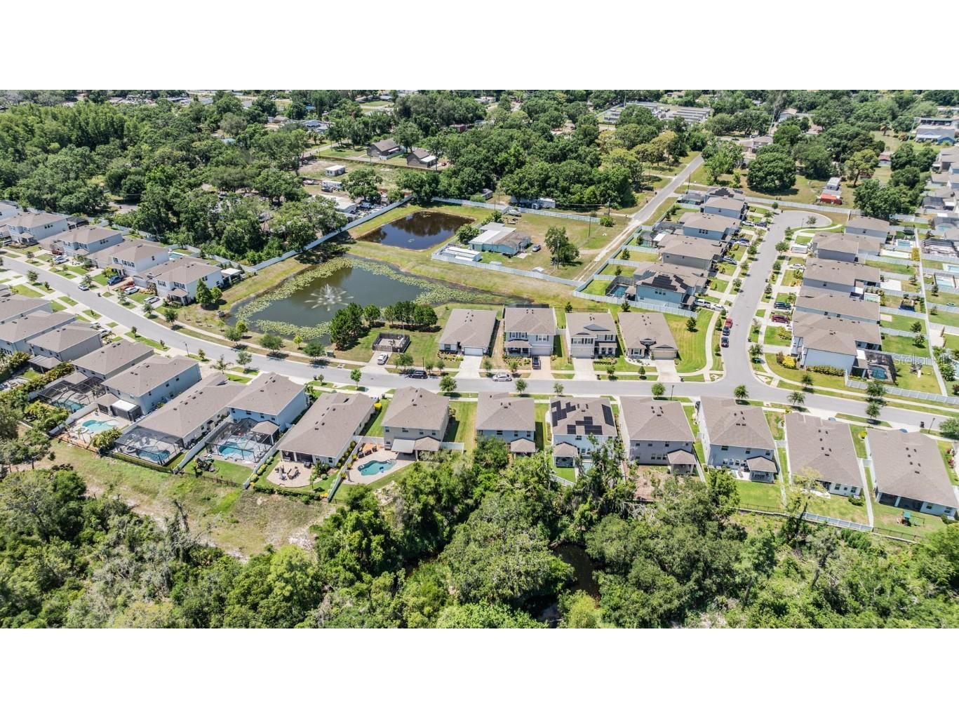 8208 Praise Drive Tampa FL 33625 TB8390009 image6