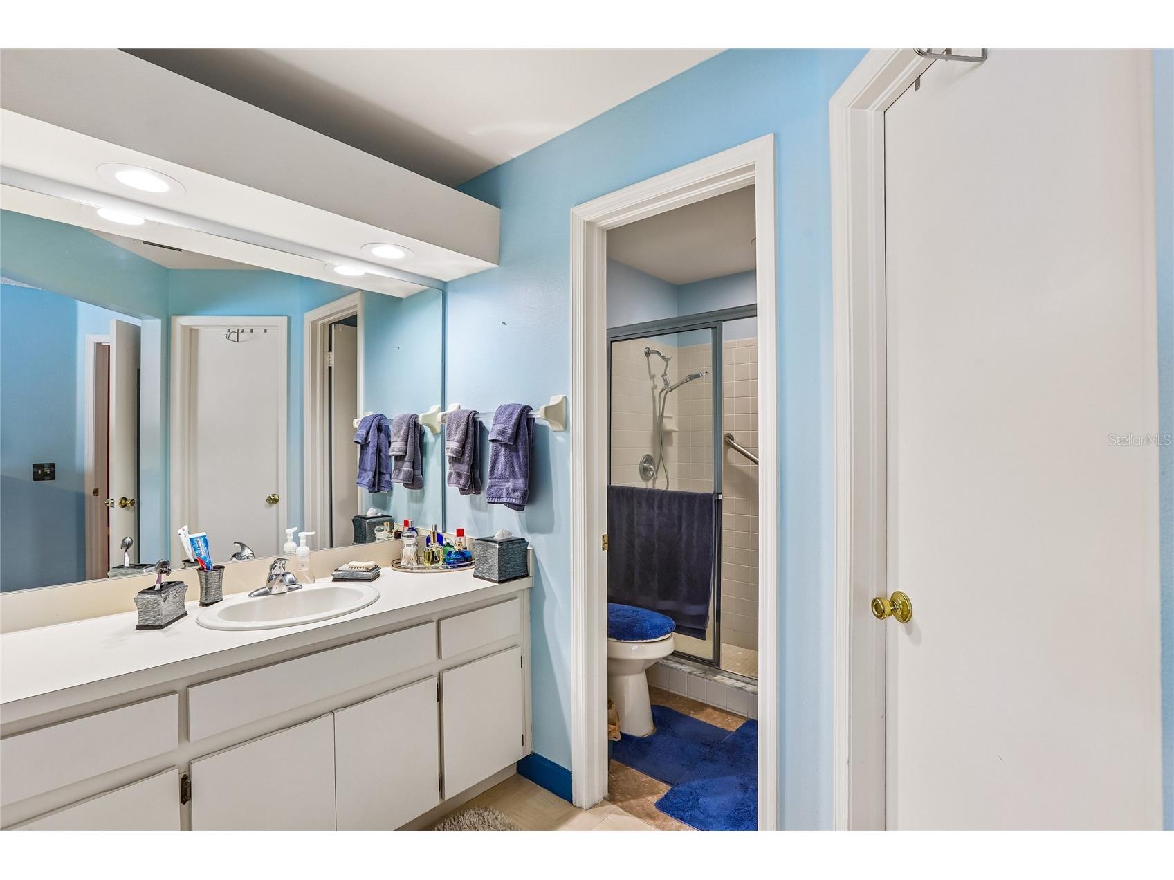 8208 Riverboat Drive Tampa FL 33637 TB8512602 image32