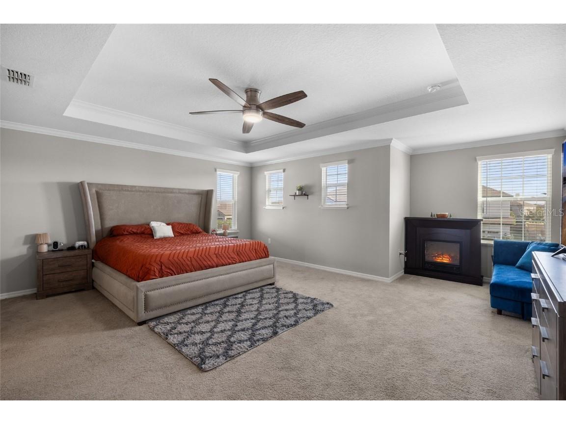 8209 Abby Brooks Circle Wesley Chapel FL 33545 TB8454544 image21