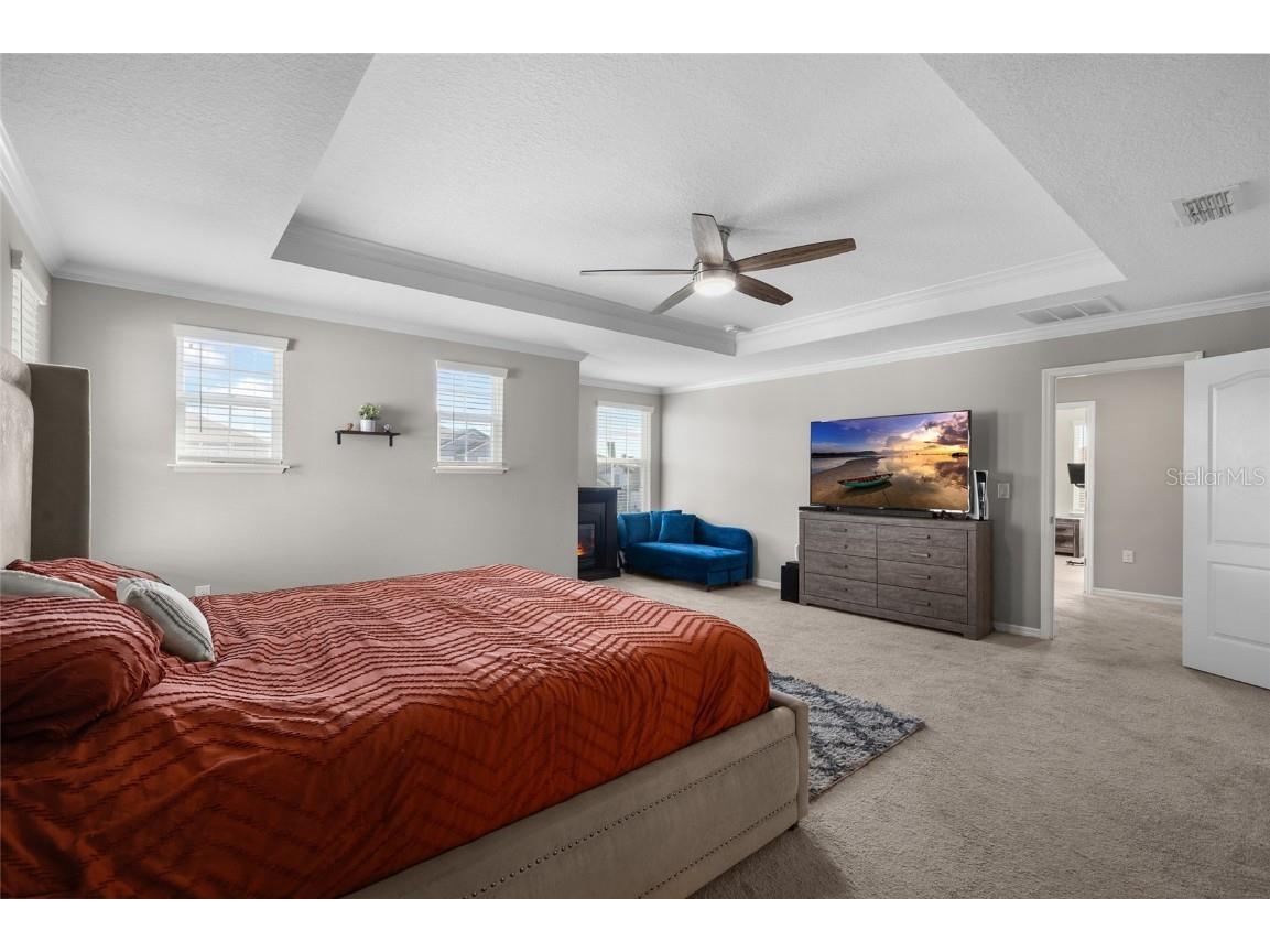 8209 Abby Brooks Circle Wesley Chapel FL 33545 TB8454544 image22