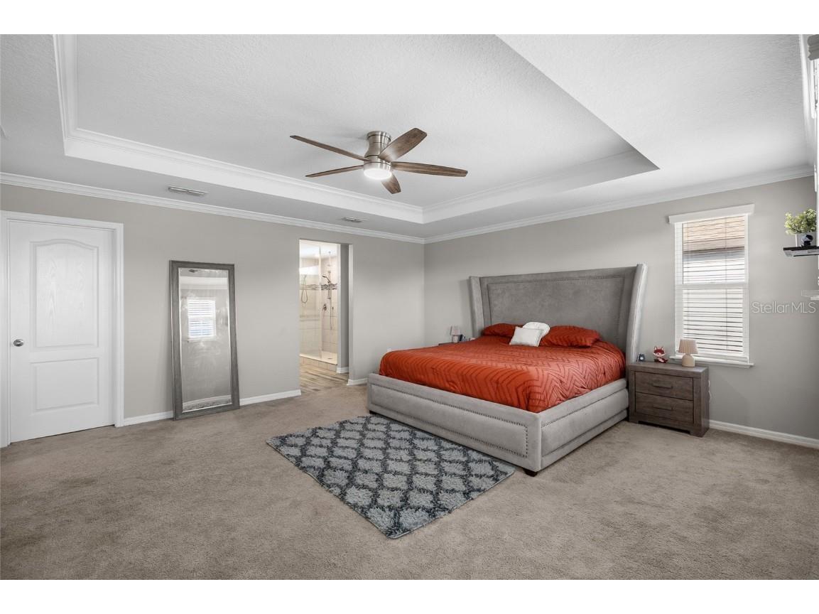 8209 Abby Brooks Circle Wesley Chapel FL 33545 TB8454544 image23