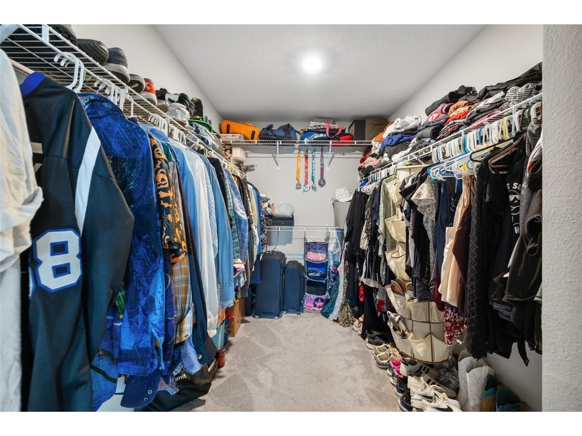 8209 Abby Brooks Circle Wesley Chapel FL 33545 TB8454544 image26