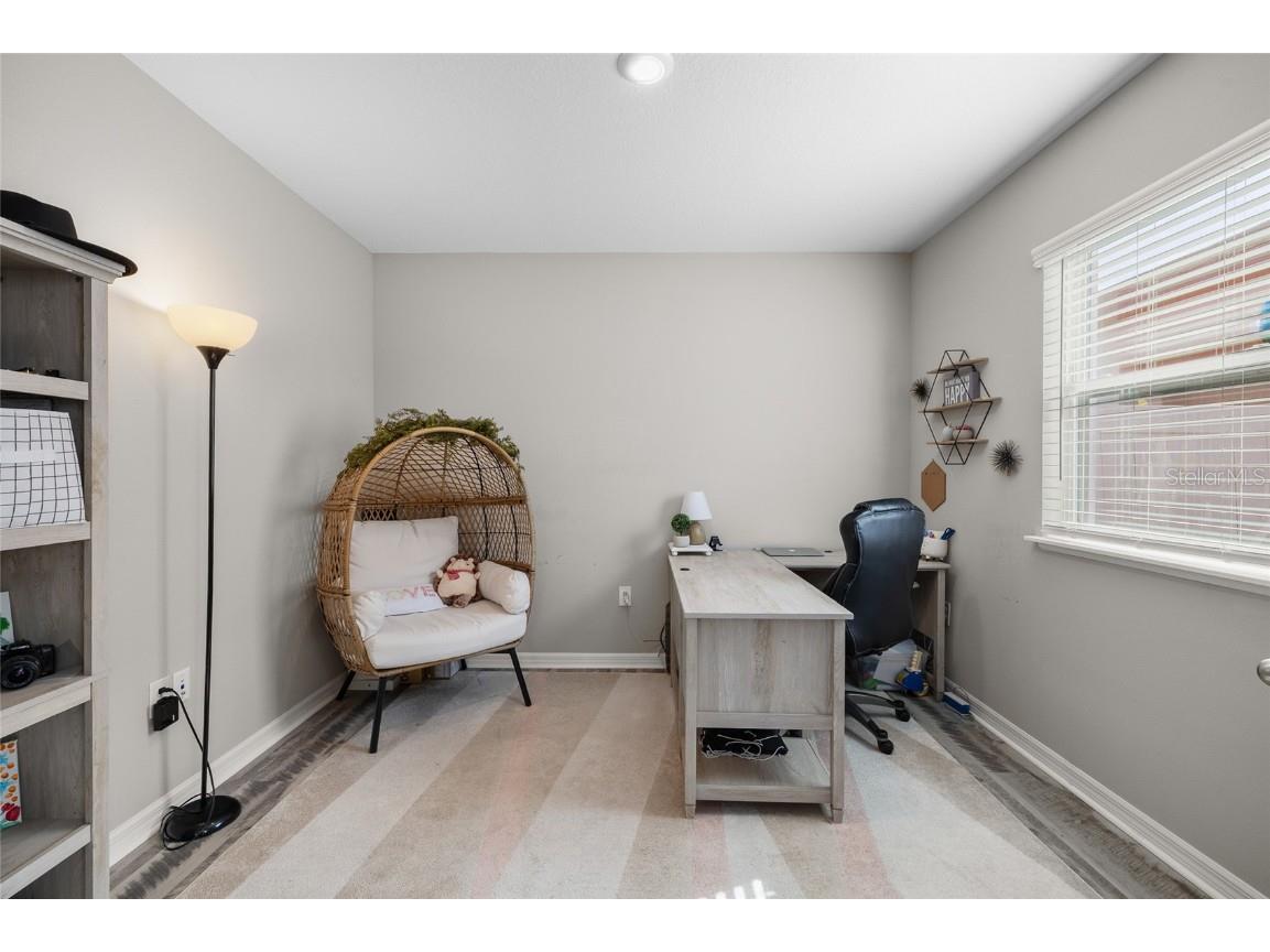 8209 Abby Brooks Circle Wesley Chapel FL 33545 TB8454544 image32