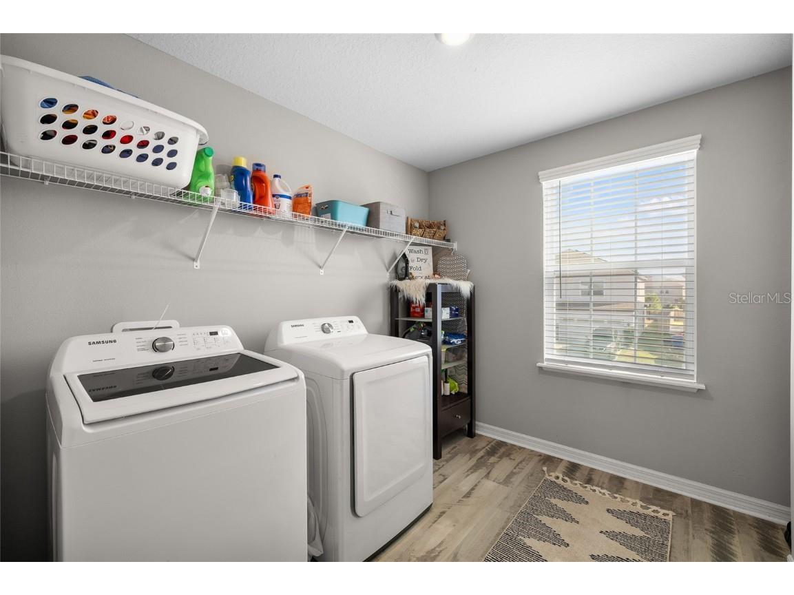 8209 Abby Brooks Circle Wesley Chapel FL 33545 TB8454544 image35