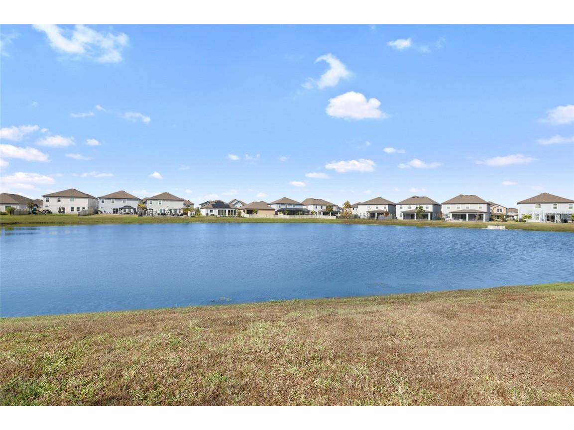 8209 Abby Brooks Circle Wesley Chapel FL 33545 TB8454544 image42