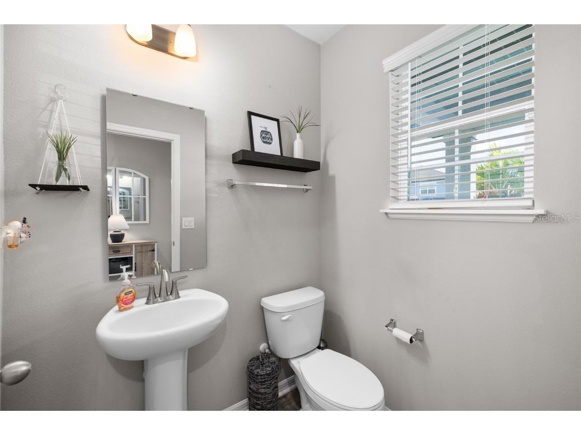 8209 Abby Brooks Circle Wesley Chapel FL 33545 TB8454544 image6