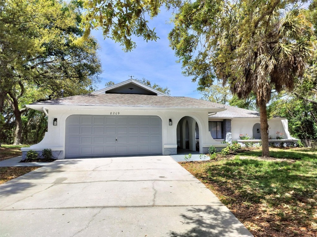 8209 Galgano Lane Spring Hill FL 34606 U8238334 image1