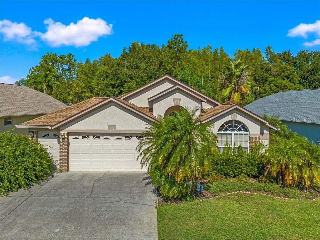 8209 Sanguinelli Road Land O Lakes FL 34637 T3469866 image1