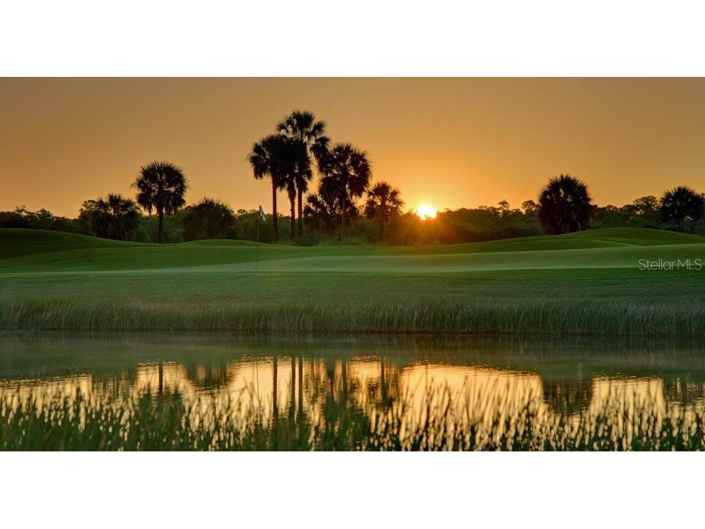 821 Chipper Drive Sun City Center FL 33573 TB8409578 image55