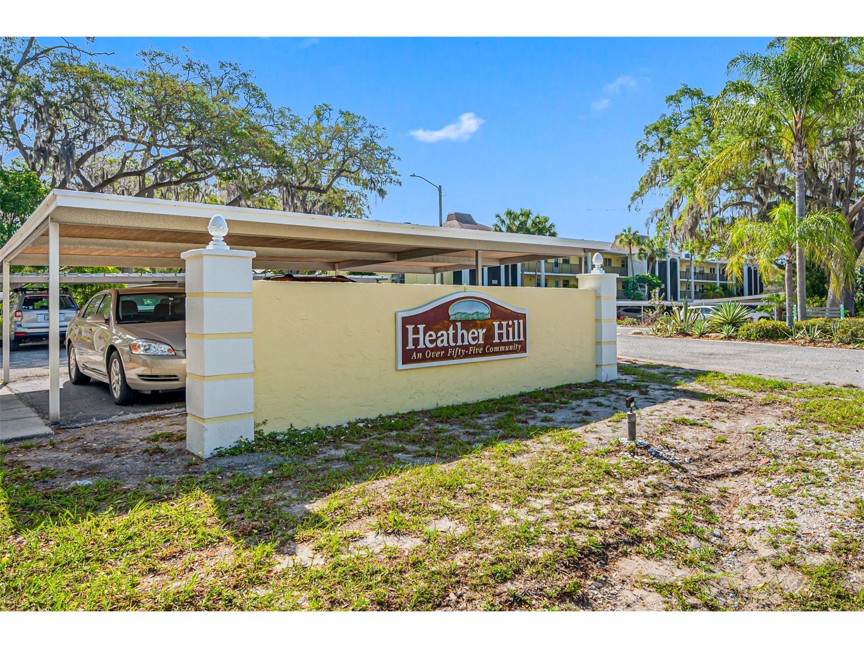 821 Deleon Court #103 Dunedin FL 34698 TB8438071 image1