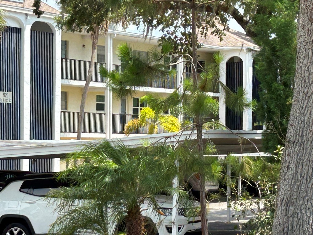 821 Deleon Court #207 Dunedin FL 34698 U8209721 image1