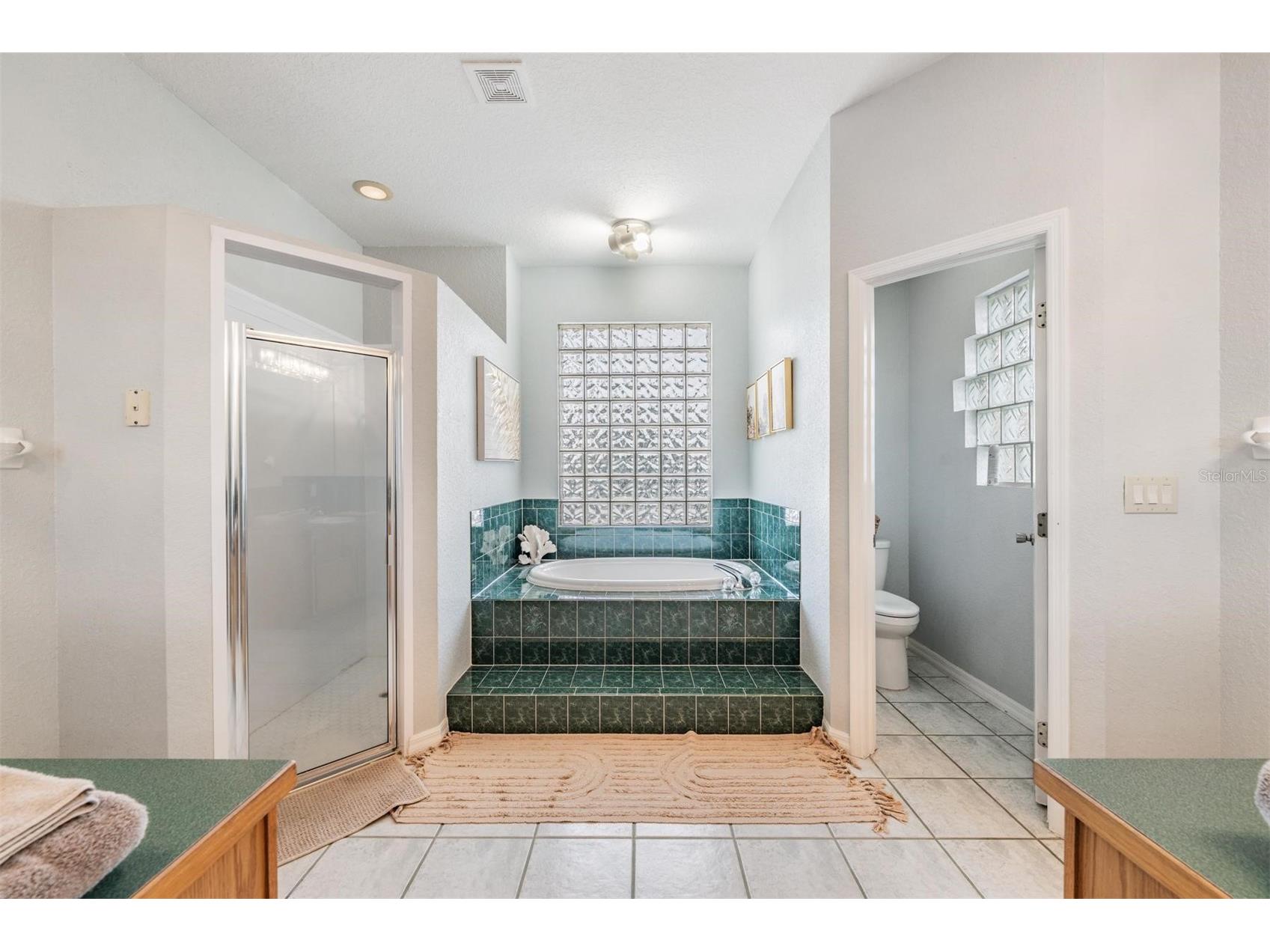 821 Greenview Dr Apollo Beach FL 33572 TB8488363 image16