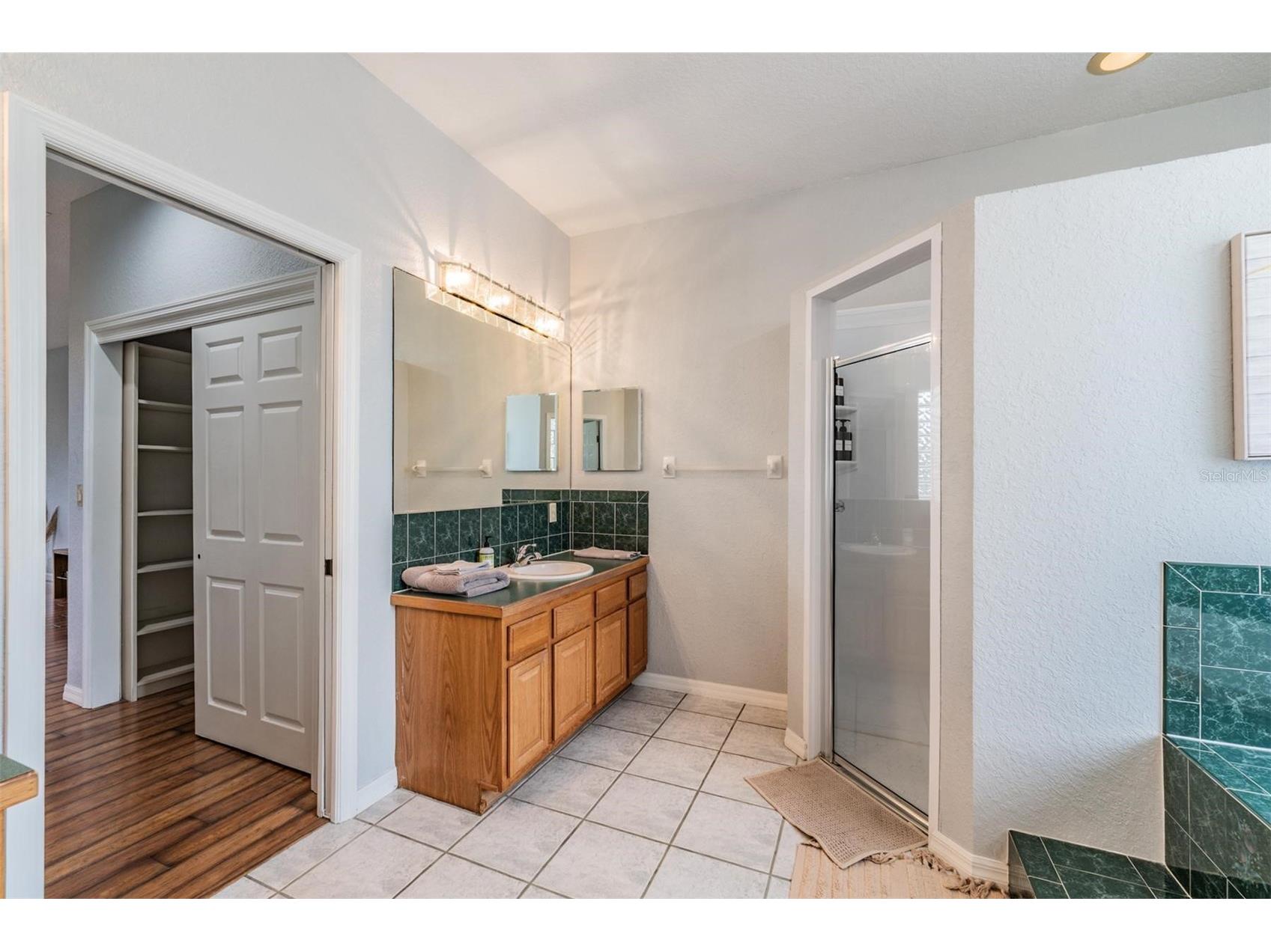 821 Greenview Dr Apollo Beach FL 33572 TB8488363 image18