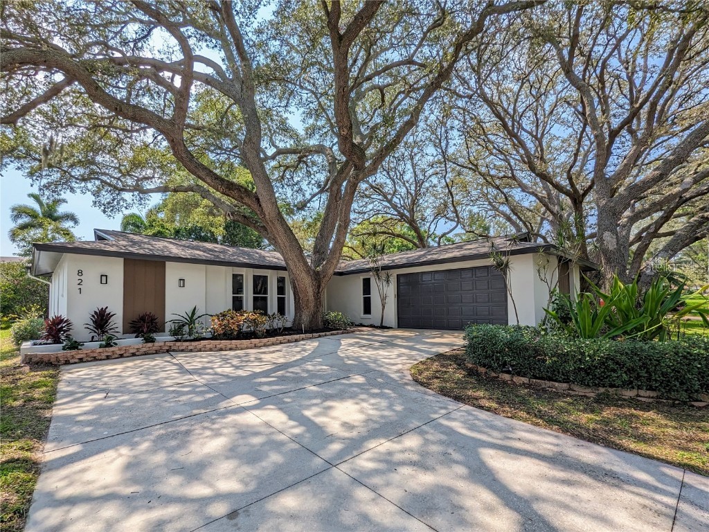 821 Highview Drive Palm Harbor FL 34683 T3456088 image1