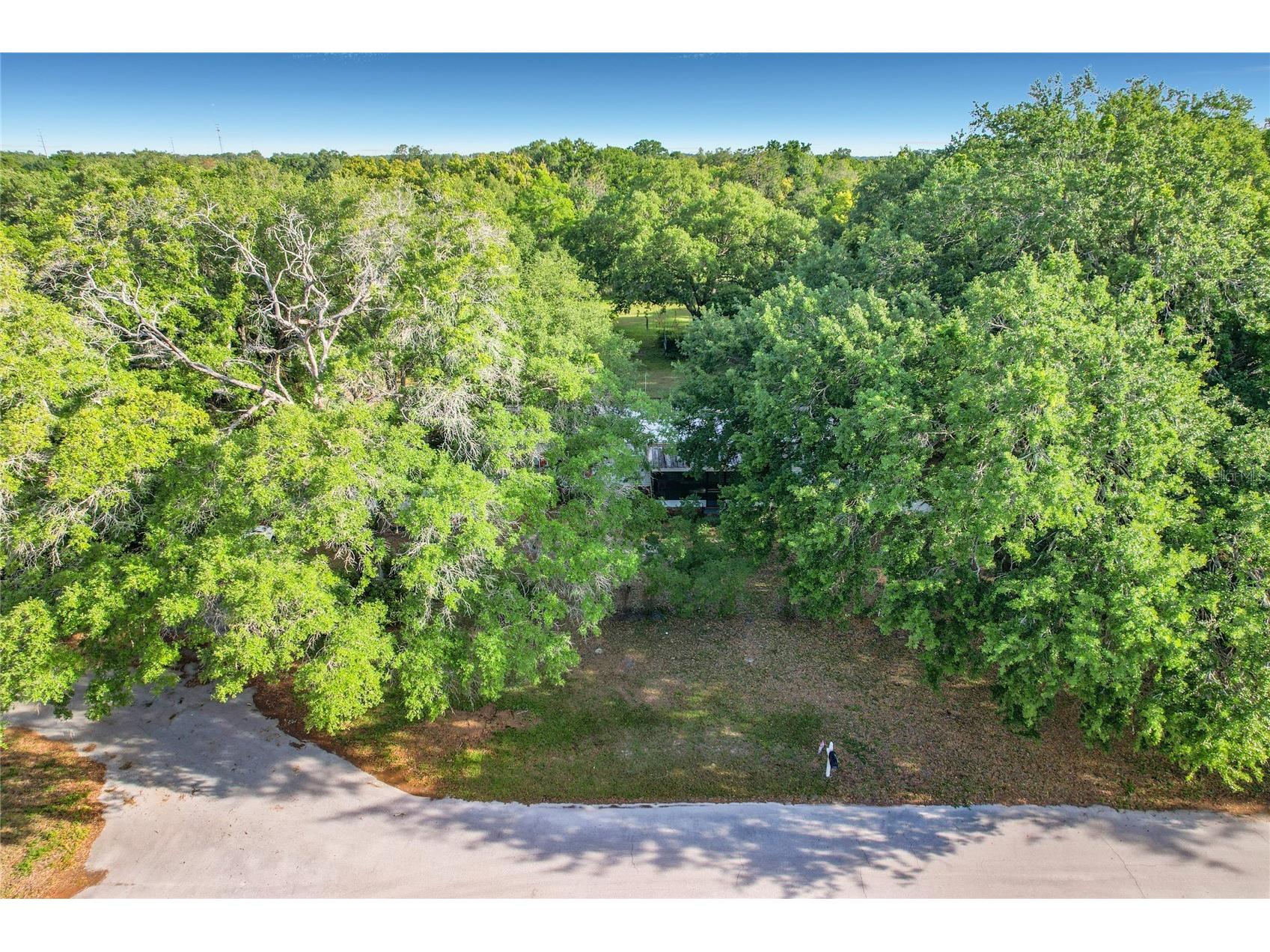 821 Irene Drive Auburndale FL 33823 O6399365 image4