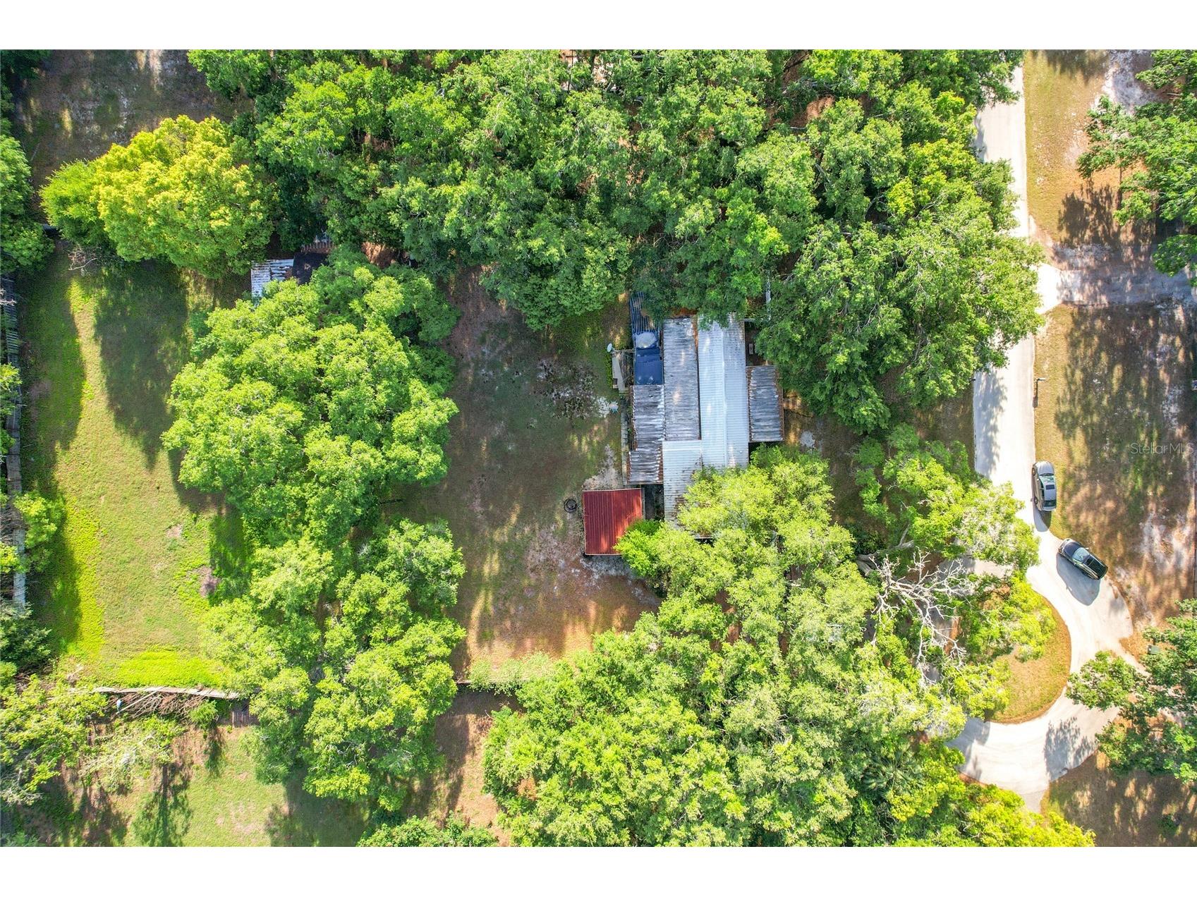 821 Irene Drive Auburndale FL 33823 O6399365 image47