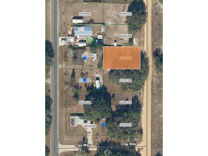 821 Kitty Avenue Interlachen FL 32148 OM696591 image1