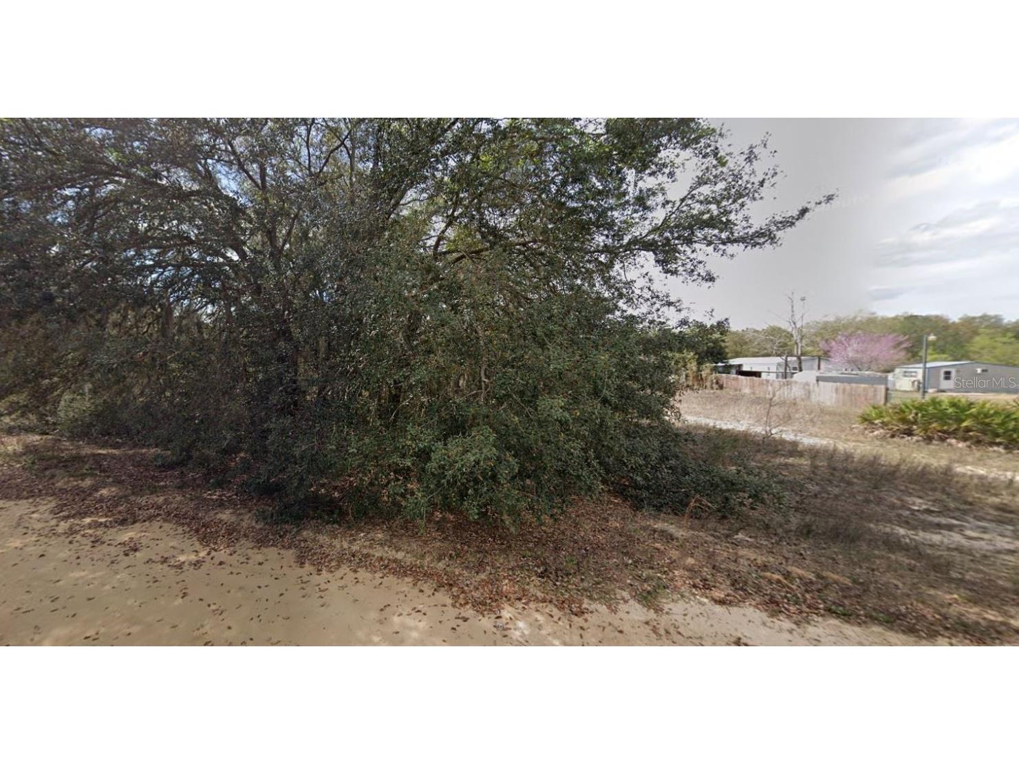 821 Kitty Avenue Interlachen FL 32148 OM696591 image3