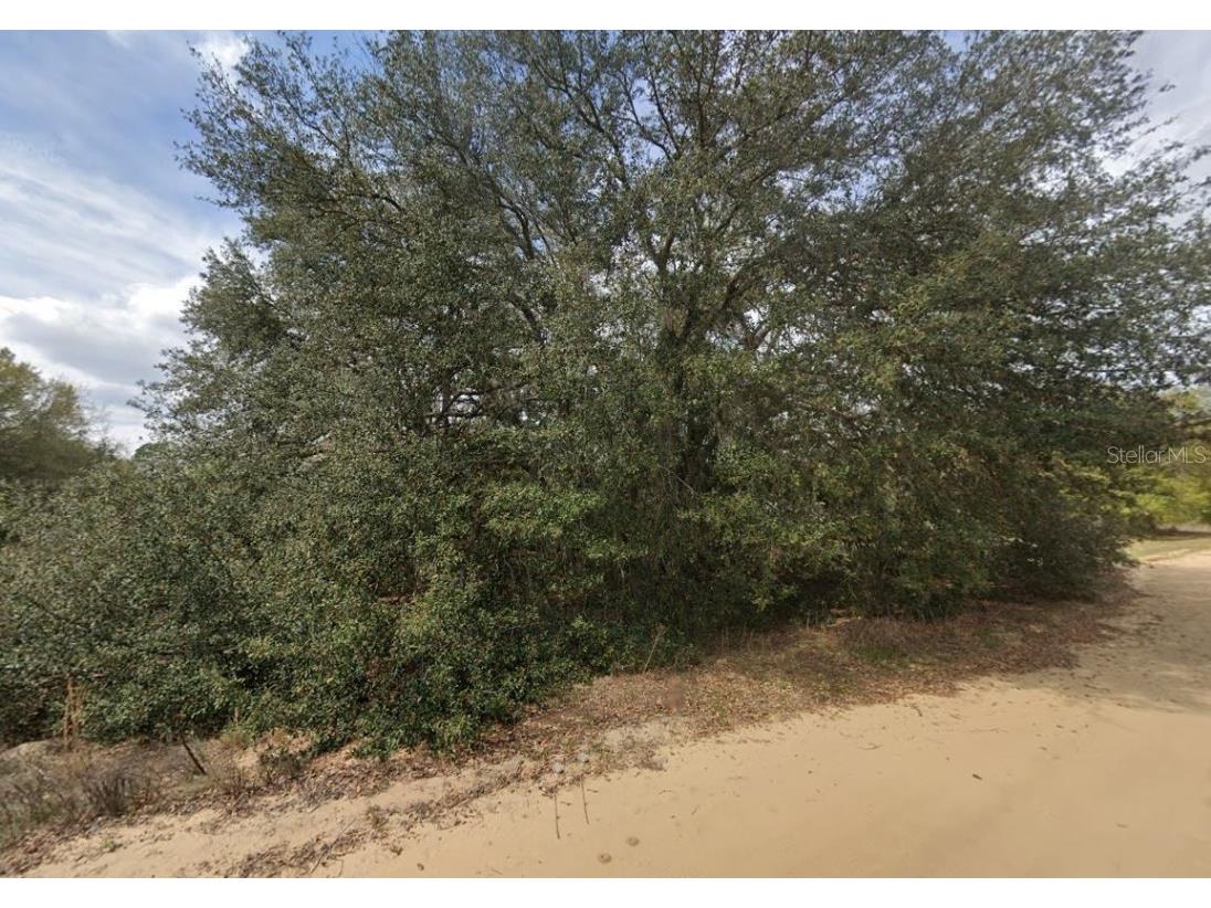 821 Kitty Avenue Interlachen FL 32148 OM696591 image4