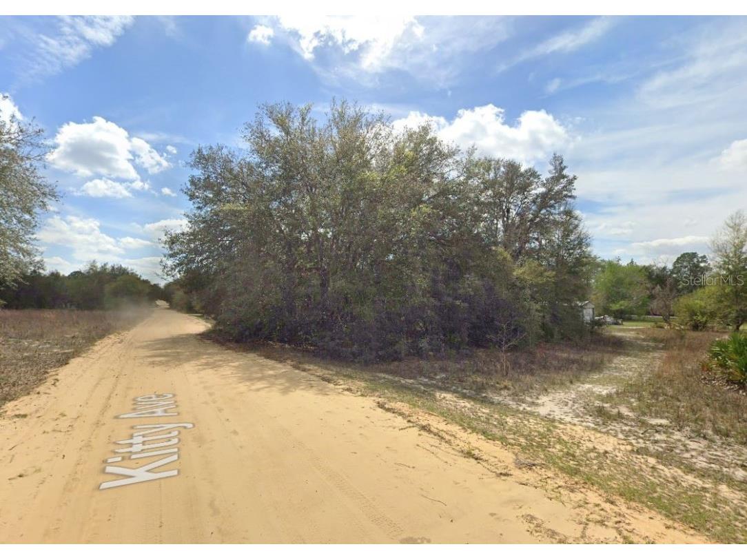 821 Kitty Avenue Interlachen FL 32148 OM696591 image5