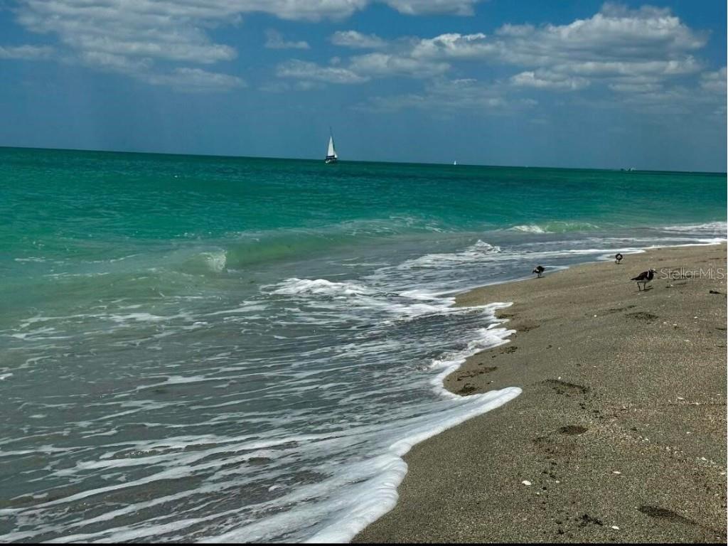 821 Laguna Drive Venice FL 34285 O6342075 image15