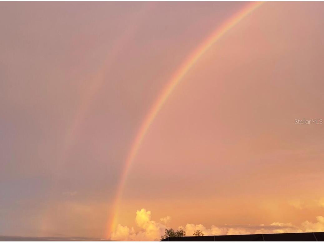 821 Laguna Drive Venice FL 34285 O6342075 image18