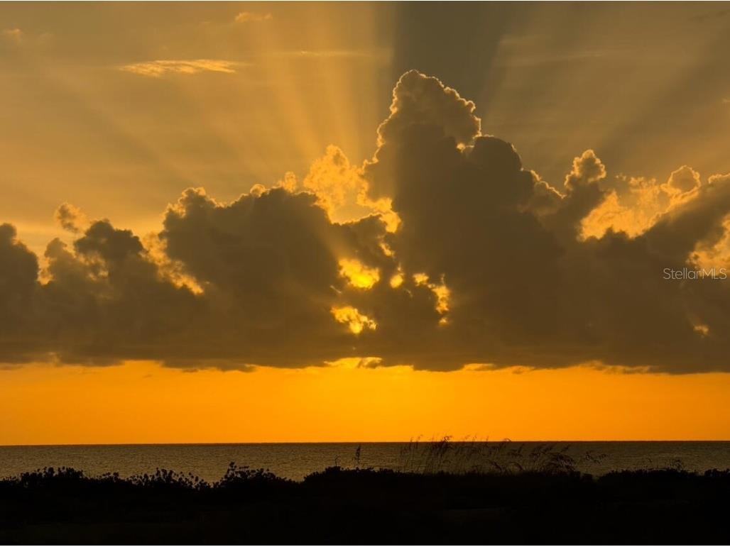 821 Laguna Drive Venice FL 34285 O6342075 image20