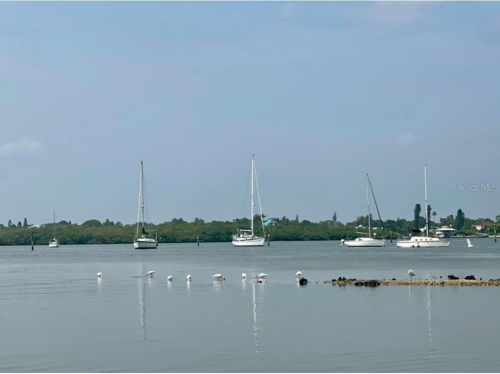 821 Laguna Drive Venice FL 34285 O6342075 image7