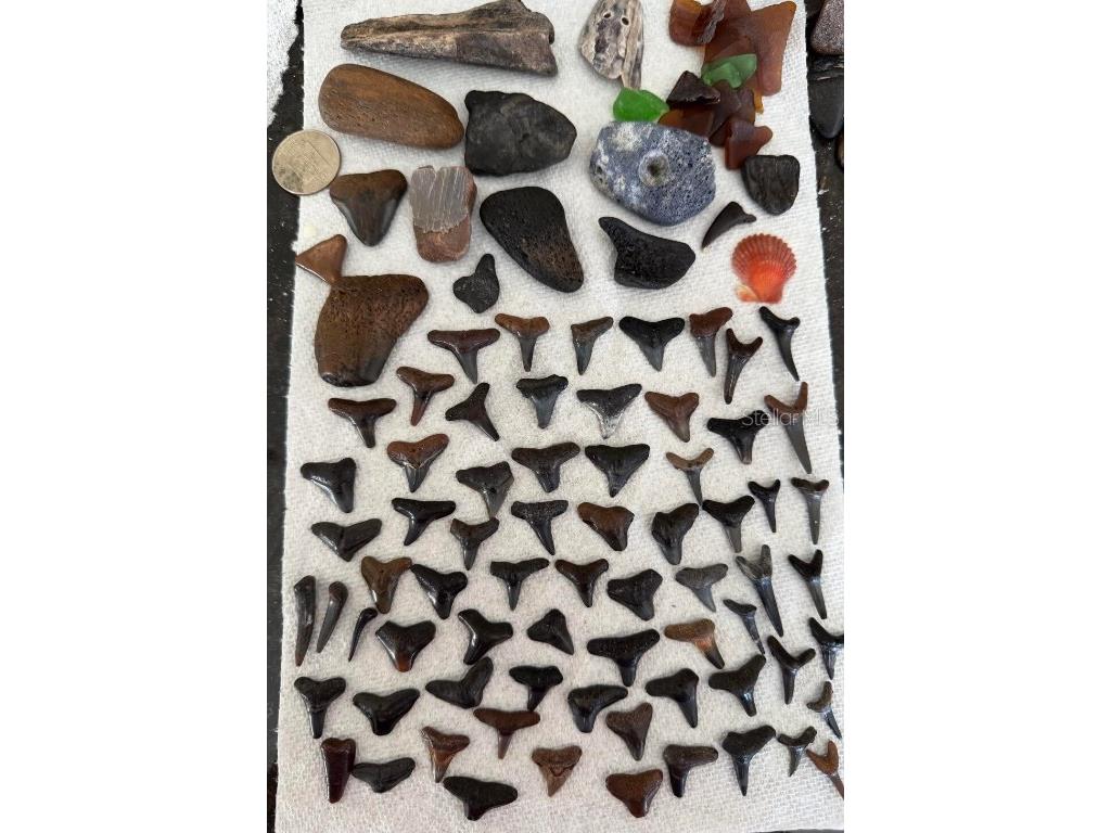 821 Laguna Drive Venice FL 34285 O6342075 image8