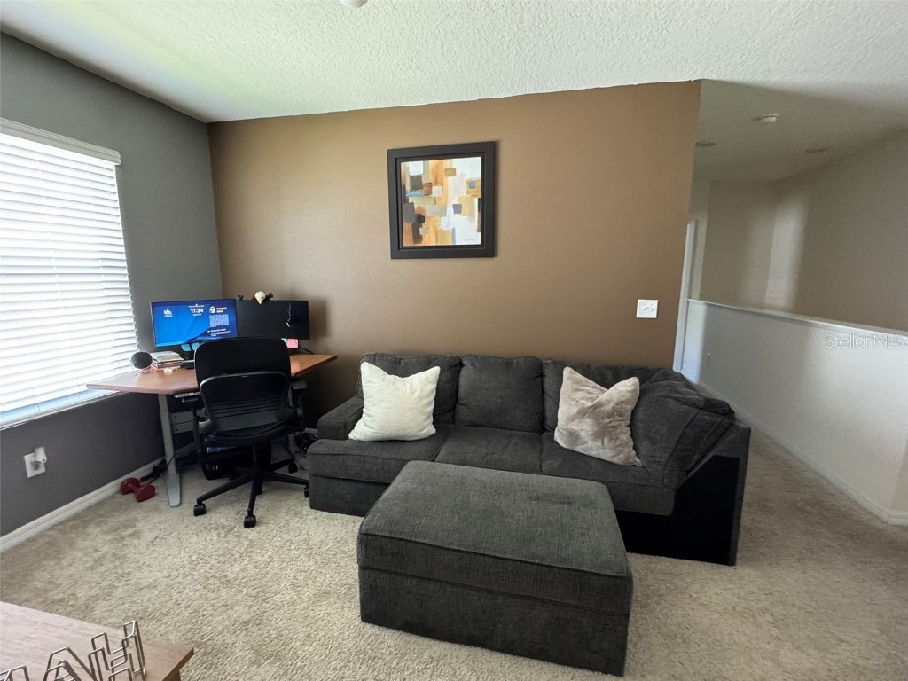 821 Lucent Sands Court Brandon FL 33511 TB8390966 image23