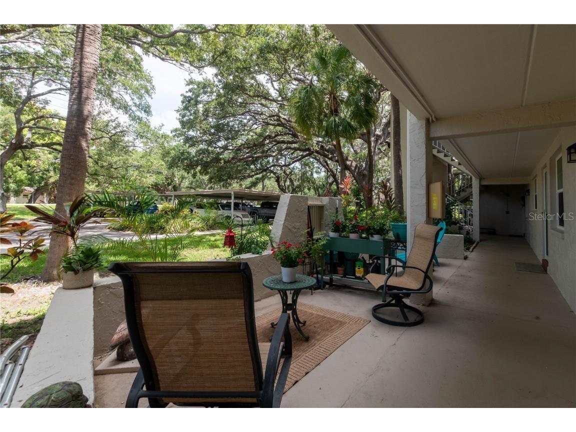 821 Patricia Avenue #103 Dunedin FL 34698 TB8411737 image3