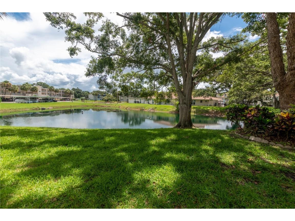 821 Patricia Avenue #103 Dunedin FL 34698 TB8411737 image6