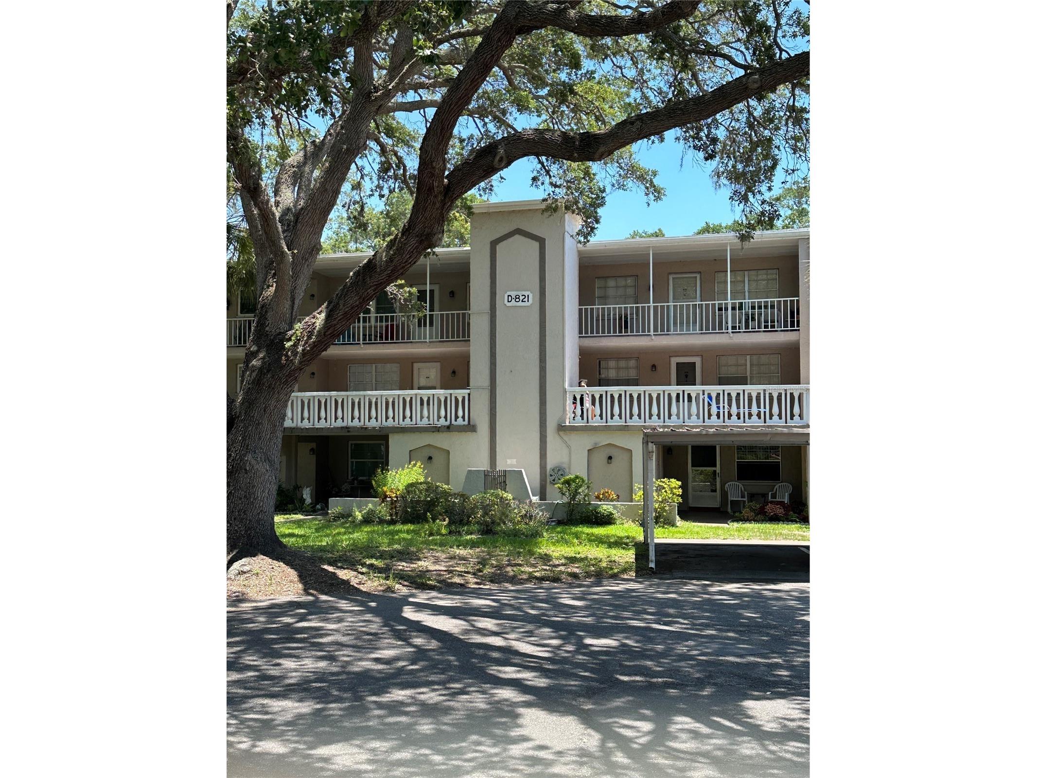 821 Patricia Avenue #106 Dunedin FL 34698 TB8473796 image1